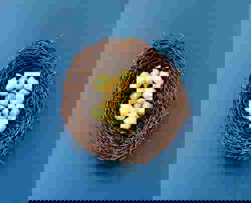 Golden eggs in a bird nest representing secure investment